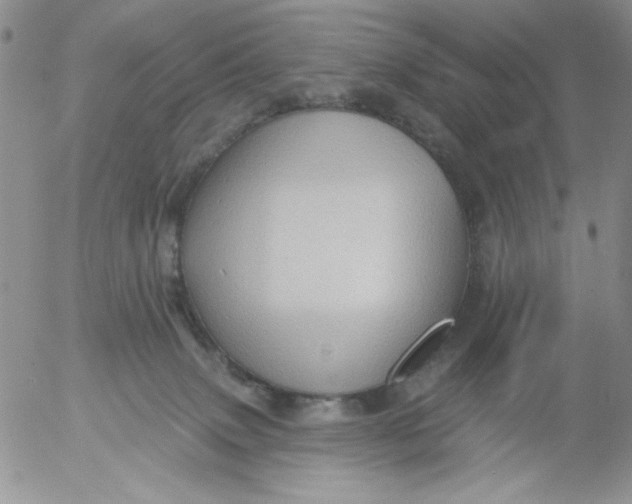 X0000053080083200508012017