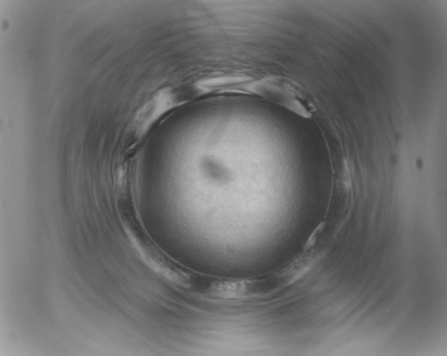 X0000053080084200508012017