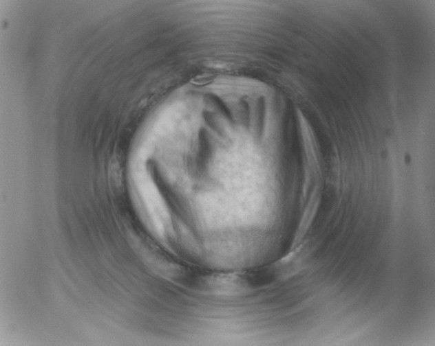 X0000053080086200508012017