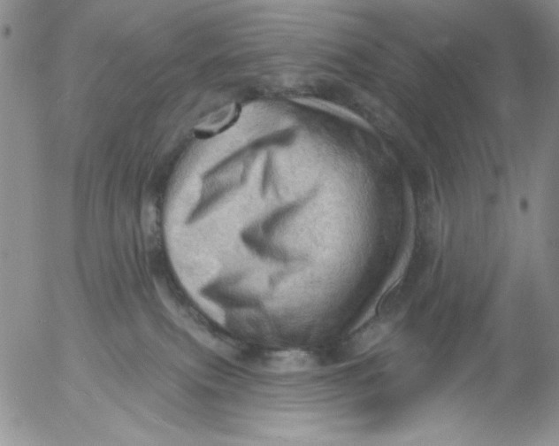 X0000053080087200508012017