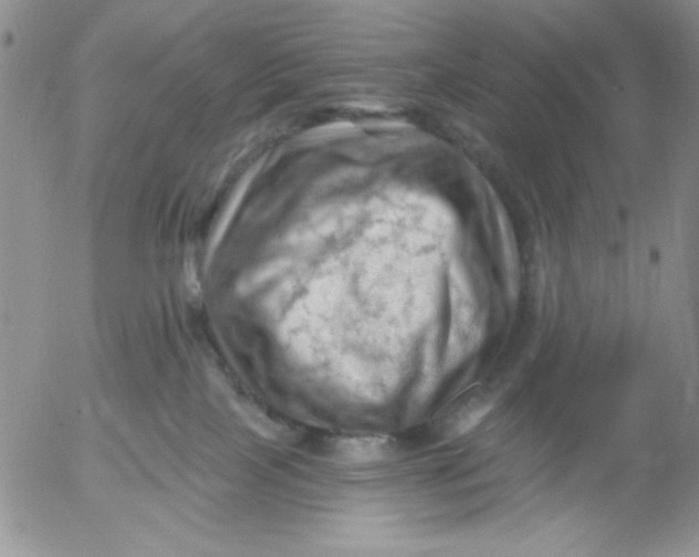 X0000053080089200508012017