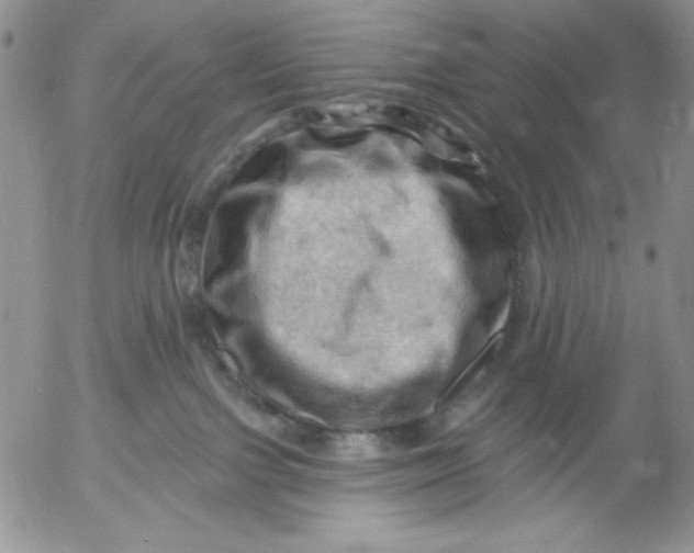 X0000053080091200508012017