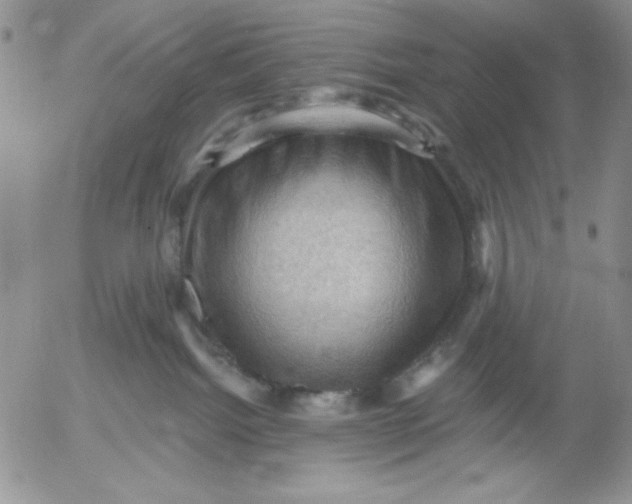 X0000053080092200508012017