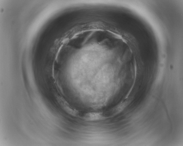 X0000053080093200508012017