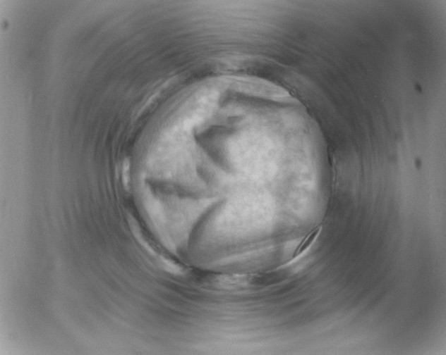 X0000053080094200508012017