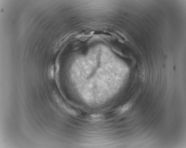 X0000053080095200508012017