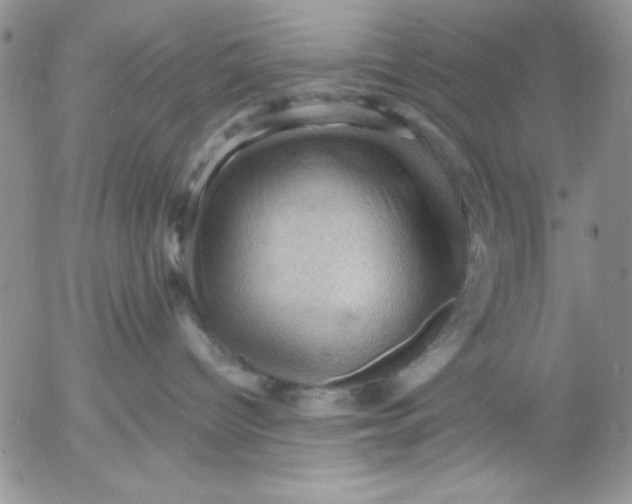 X0000053080096200508012017