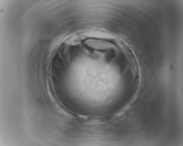 X0000053080097200508012017