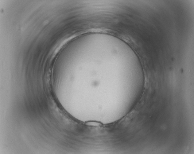 X0000053080098200508012017