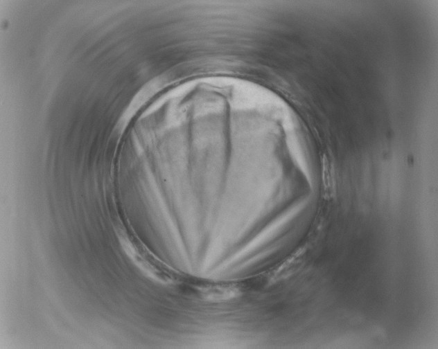 X0000053080099200508012017