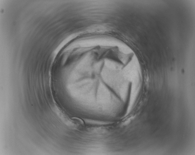 X0000053080100200508012017