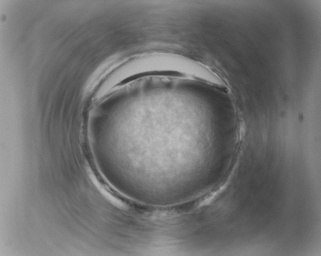 X0000053080101200508012017