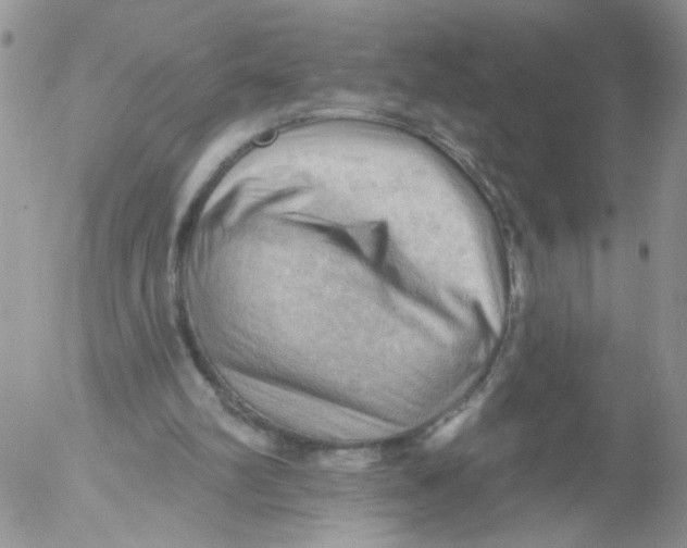 X0000053080102200508012017