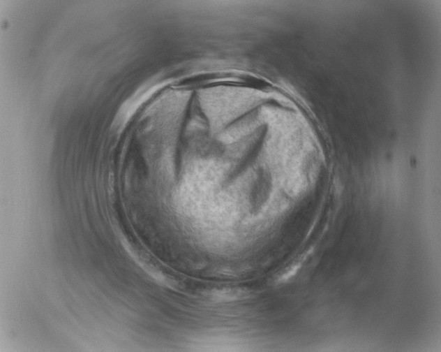 X0000053080103200508012017