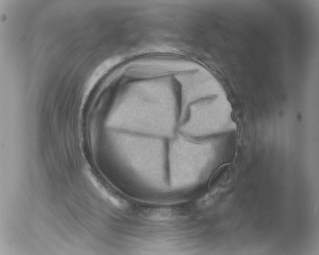 X0000053080104200508012016