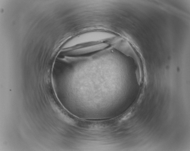 X0000053080105200508012016