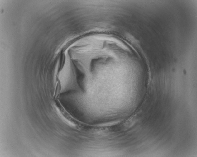 X0000053080106200508012016