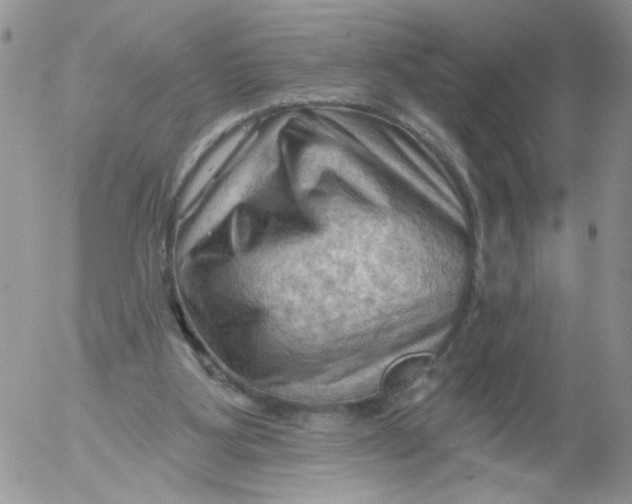 X0000053080107200508012016