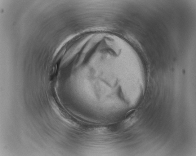 X0000053080108200508012016