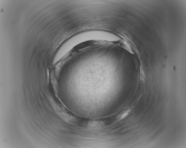 X0000053080109200508012016