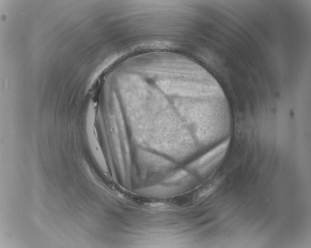 X0000053080111200508012016