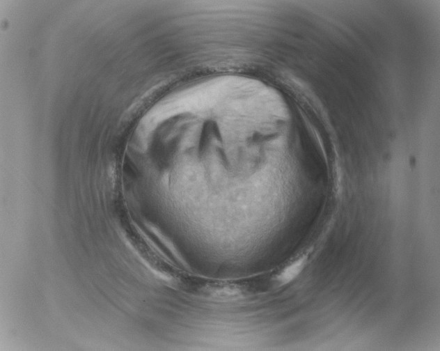 X0000053080113200508012016