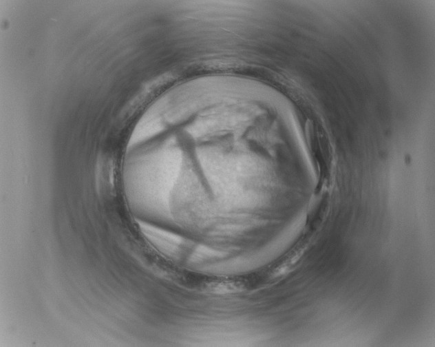 X0000053080115200508012016