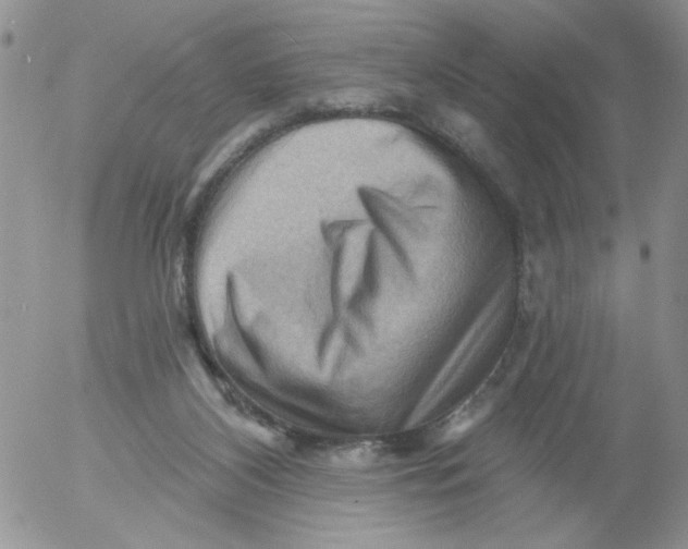 X0000053080116200508012016