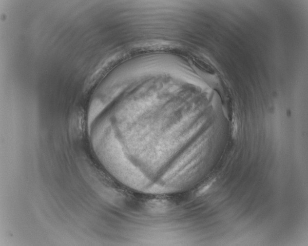 X0000053080119200508012016