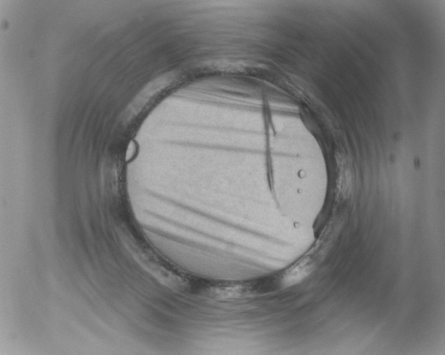 X0000053080120200508012016