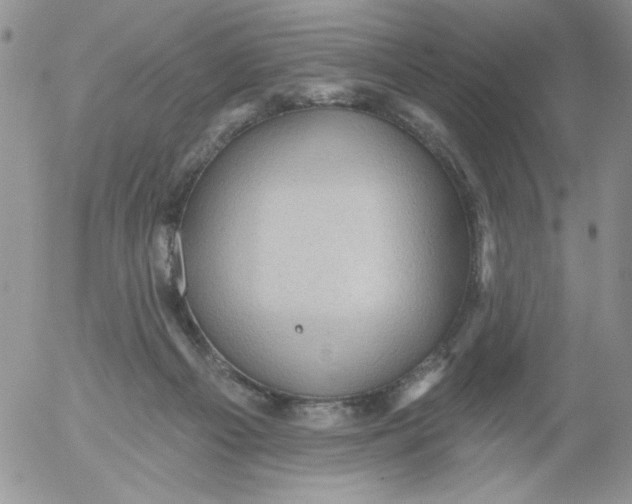 X0000053080121200508012016