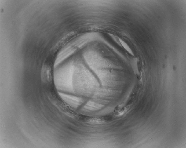 X0000053080123200508012016