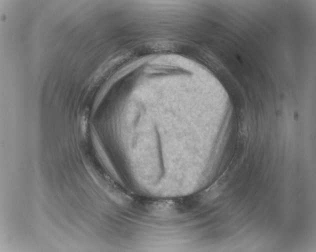 X0000053080124200508012016