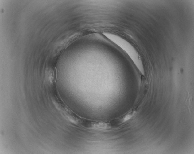 X0000053080125200508012016