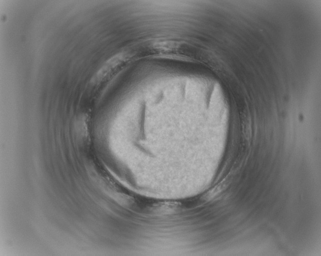 X0000053080128200508012016