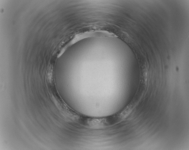 X0000053080129200508012016