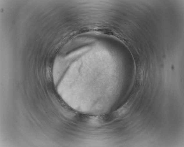 X0000053080130200508012016