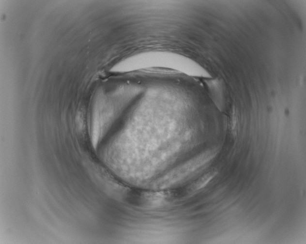 X0000053080131200508012016