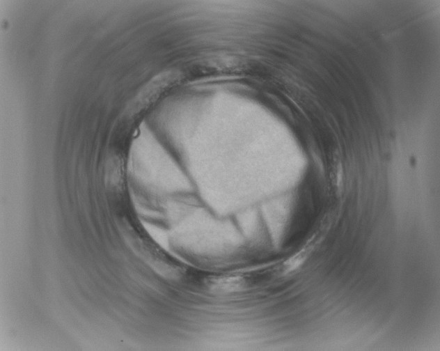 X0000053080132200508012016