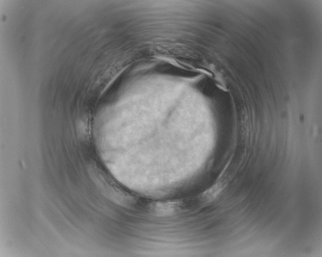 X0000053080134200508012016