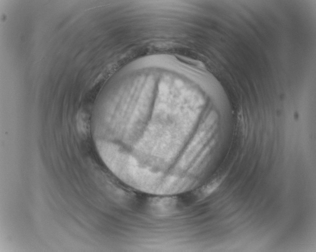 X0000053080135200508012016