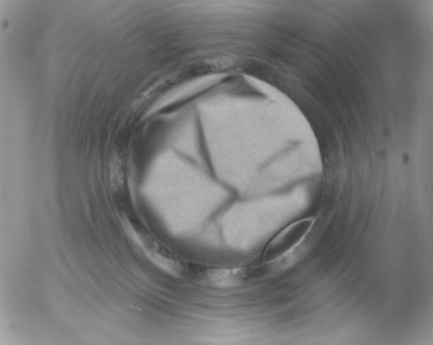 X0000053080136200508012016