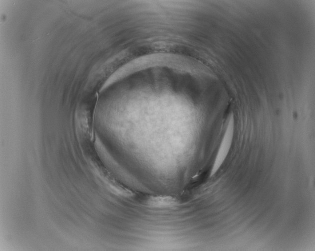 X0000053080137200508012016