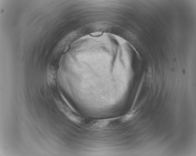 X0000053080138200508012016