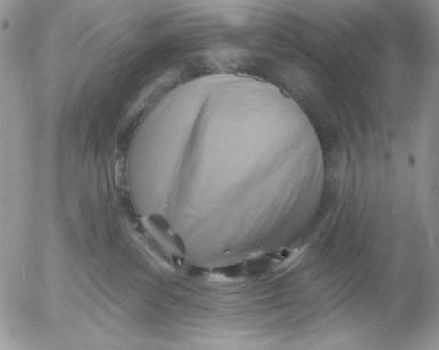 X0000053080139200508012016