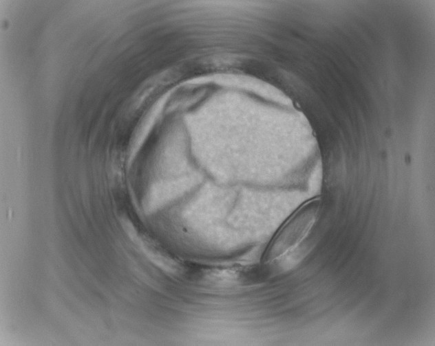 X0000053080140200508012016