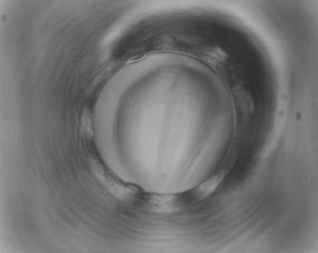 X0000053080143200508012016