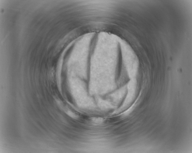 X0000053080144200508012016