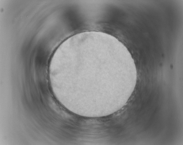 X0000053080146200508012015