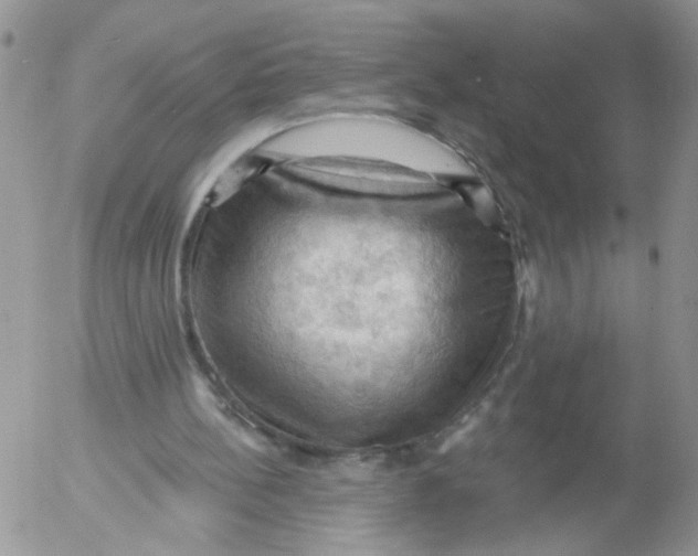 X0000053080148200508012015